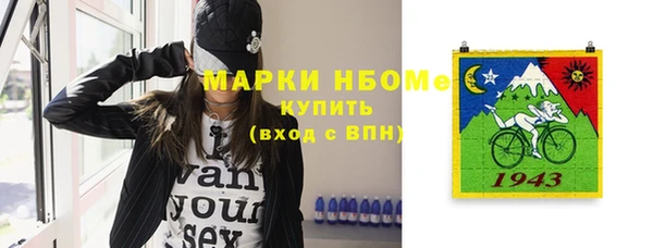 хмурый Алзамай