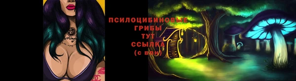 гидра Алексеевка