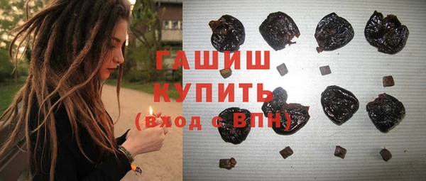 гидра Алексеевка