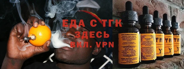 хмурый Алзамай