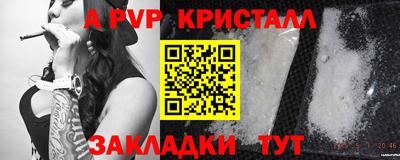 стаф Севастополь