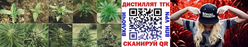 ТГК гашишное масло  Новороссийск 