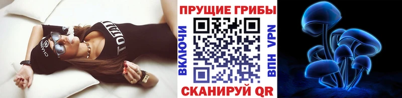 купить цена Новороссийск это формула Псилоцибиновые грибы мицелий