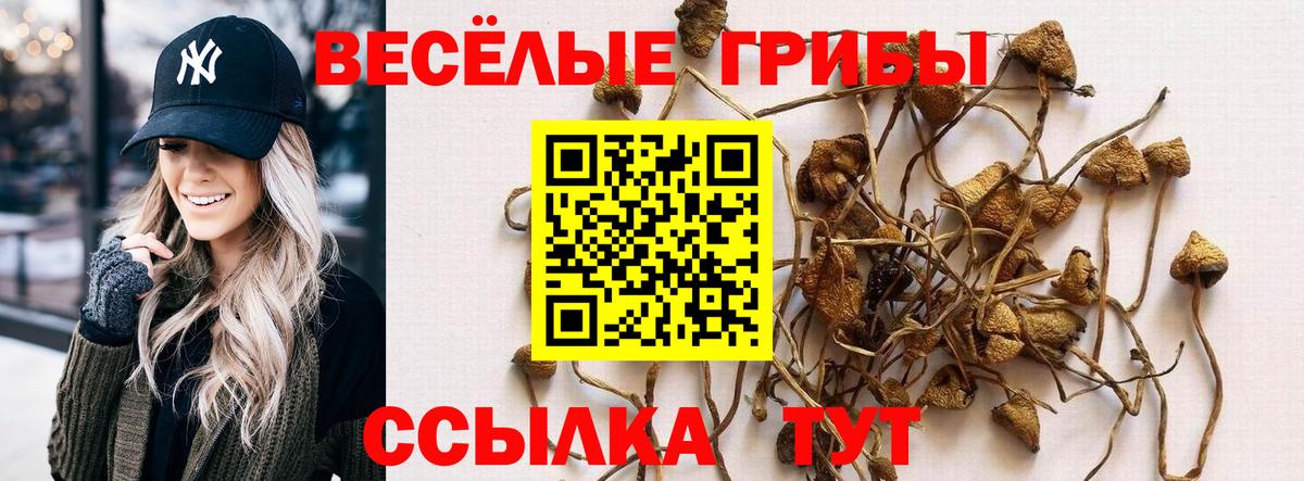 Новороссийск  Псилоцибиновые грибы Psilocybine cubensis  Вход с VPN 