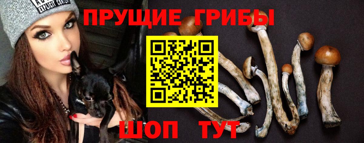 Бошки Шишки  Новороссийск  ГАШИШ  Меф   Вход с VPN  Метадон  Купить наркотики  АМФЕТАМИН   ГАШ 